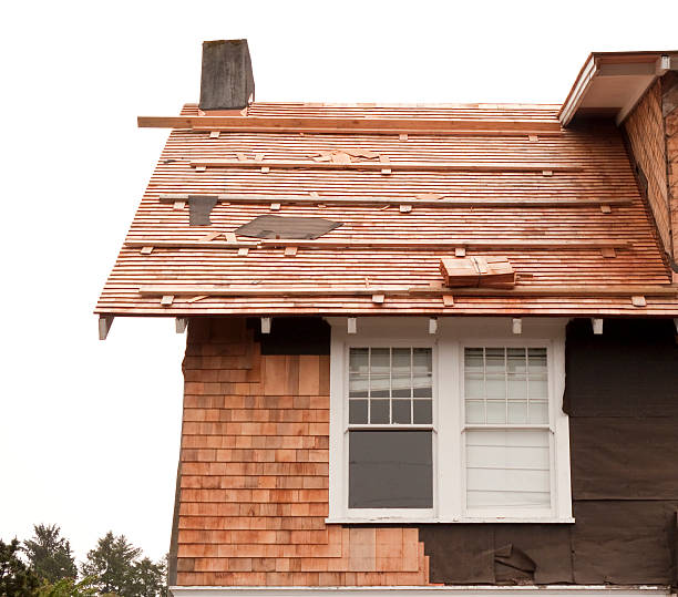 Historical Building Siding Restoration in Hurley, MS